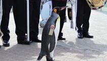 Kraljevski pingvin promoviran u general-majora norveške vojske