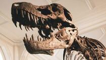 Pronađen gotovo metar dugačak otisak stopala divovskog dinosaurusa