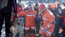 Muškarac u Turskoj izvučen živ iz ruševina nakon 77 sati, spasio ga pas tragač
