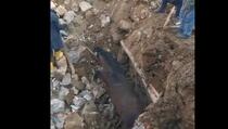 Čak 21 dan nakon potresa u Turskoj iz ruševina izvučen živ konj