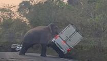 Pogledajte kako je slon prevrnuo automobil na Tajlandu