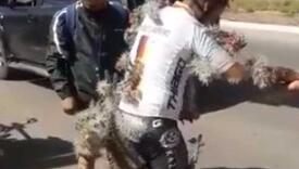 Bizarna nesreća: Biciklista pao na kaktus