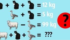 Matematička mozgalica: Možete li riješiti ovu jednačinu?