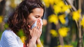 Cvijeće je krivo, najgore su reakcije ujutro...: Najčešći mitovi o alergijama