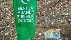 Mačak preminulog muftije Zukorlića ne ide od njegovog mezara