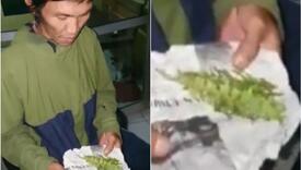 Došao u policiju da prijavi da su mu umjesto marihuane podvalili lišće