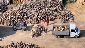Evo kako se prodavci kradu kada kupujete drva!