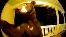 Sigurnosna kamera snimila medvjeda kako "zvoni" na vrata