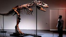 Skelet drevnog dinosaurusa prodat na aukciji privatnom kupcu za 6 miliona dolara
