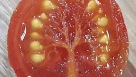 Obična slika paradajza na Facebooku pokrenula raspravu: Hiljade ljudi se pita - drvo ili zubi?
