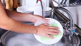 Kuhinjska spužva može sadržavati veći broj bakterija nego što ima ljudi na Zemlji