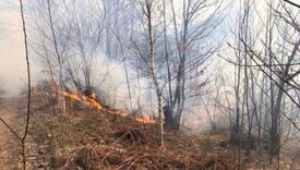 Agencija za šume: Sumnjamo da su požari podmetnuti
