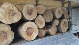 Buzhala: Kupio sam 10 metara drva, struja nije sigurna