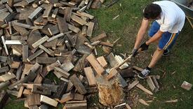 Drva za ogrjev kao “novo zlato”: Evropska zima bez ruskog gasa uz napetosti oko resursa šuma