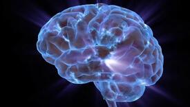 Neurolozi otkrili koje namirnice ne konzumiraju jer štete zdravlju mozga