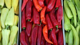 Koja je razlika između zelenih, žutih i crvenih paprika i zašto su jedne uvijek najskuplje?