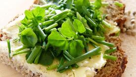 Bolja i od cvekle: Ova salata je proglašena najzdravijom na svijetu