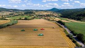 Pšenice ove godine na Kosovu malo i lošeg kvaliteta