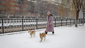 U Pekingu oboren rekord po broju sati ispod nula stepeni, ponegdje je i do -40