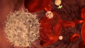 Naučnici otkrili metodu u liječenju raka koja uništava 99 posto kancerogenih ćelija