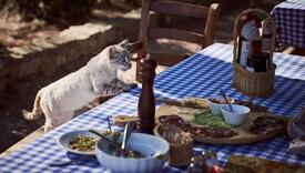 Poznati restoran priprema hranu za pse i mačke, a sve s menija mogu jesti i ljudi