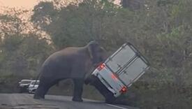 Pogledajte kako je slon prevrnuo automobil na Tajlandu