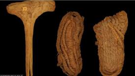 U španskoj pećini pronađena najstarija evropska cipela