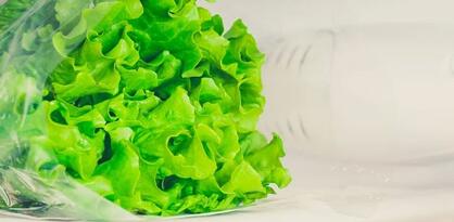 Trik kojim ćete produžiti vijek trajanja zelenoj salati i duže je održati svježom