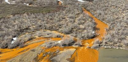 Provedeno istraživanje: Zašto rijeke na Aljasci postaju narandžaste?