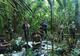 Četvero djece pronađeno u kolumbijskoj džungli 40 dana nakon pada aviona