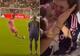 Desi se i najboljima: Messi šutirao iz slobodnog udarca i pogodio loptom bebu na tribinama