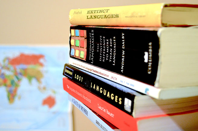 Koji se jezici uče na Kosovu?