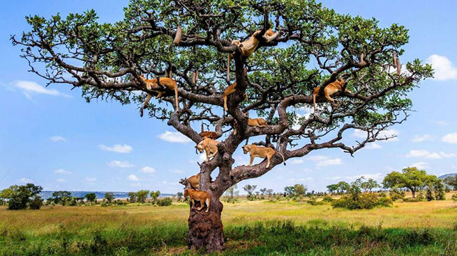 Spektakularna fotografija iz Tanzanije