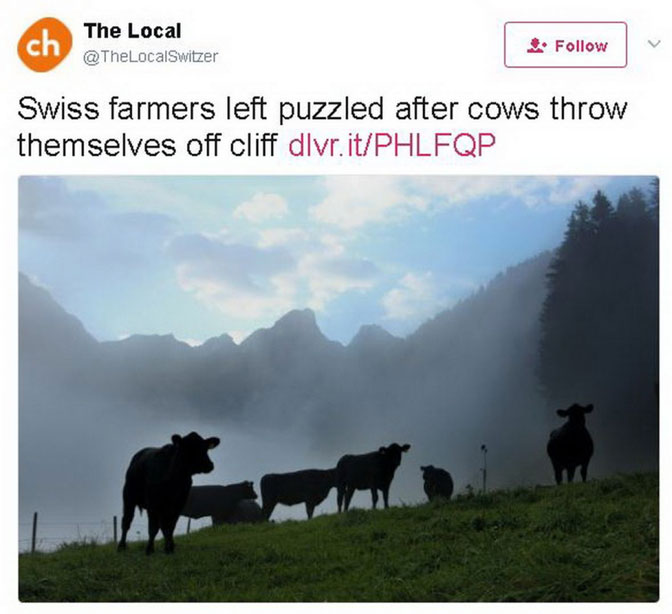 Švicarski mediji pišu 